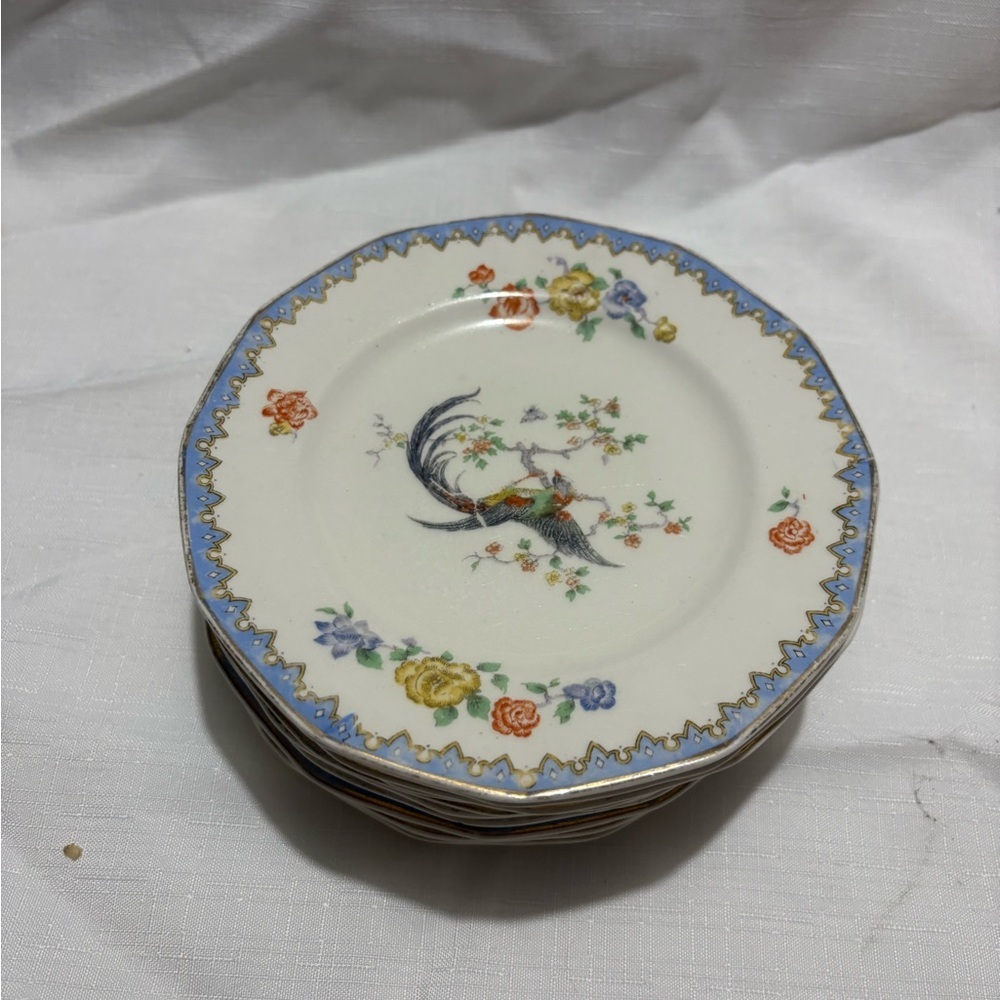 Vintage Floral Porcelain Dessert Plates - Set of 11